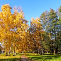 Осенний пейзаж :: Любовь Зинченко 