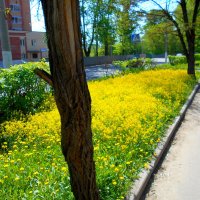 Весна на улицах города :: Игорь Чуев