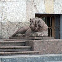 Глумливые, упитанные  львы у офиса Газпрома :: Игорь Корф
