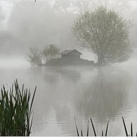 Весенний туман. :: Валерия Комова