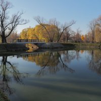 У Большого Новодевичьего пруда :: Евгений Седов