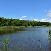 Ростов-на-Дону. Вид с левого берега Четвёртого Можайского пруда. :: Пётр Чернега