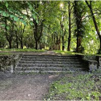 Старинная лестница в старинном парк. :: Валерия Комова