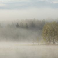 ...утро..туман.. :: Галина Юняева 