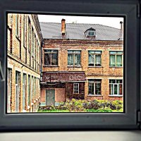 новые окна старой школы :: Любовь 