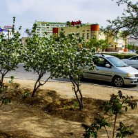 В городе :: Анатолий Чикчирный