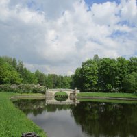 В Павловском парке. :: Татьяна Ф *