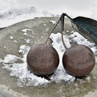 вишня на снегу :: Дмитрий Лупандин