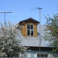 Крыша дома :: Дмитрий Никитин