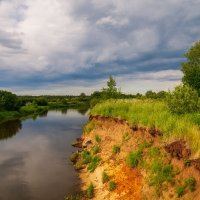 Июнь на берегах реки Клязьмы # 03 :: Андрей Дворников