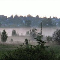 В тумане :: Лариса С.
