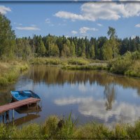 Утром на рыбалку. :: victor buzykin