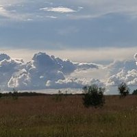 Облака-белогривые лошадки... :: Владимир Волик