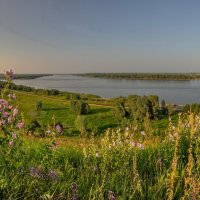 Летнее :: Виктор Четошников