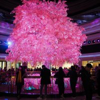 Отель -Казино "Wynn Macau" шоу "Tree of Prosperity" :: Alm Lana