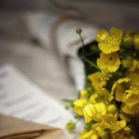 Желтые цветы :: Тамара Васильевна