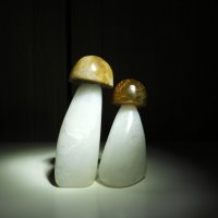 Каменные грибы :: Сергей Сергей