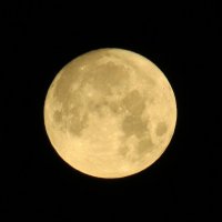 Луна :: Вера Щукина
