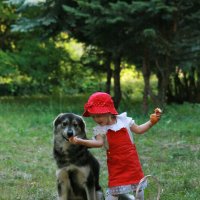 Красная шапочка и  волк :: Анастасия Грек