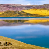Монголия. Озеро Хар-нуур. :: Владимир Владимиров 