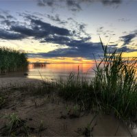 закат на Финском заливе :: Алексей Говорушкин 