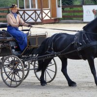 КСК "Виват Россия". :: Алекс Ант