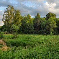 Старая тропинка :: Денис Бочкарёв