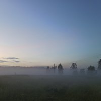Вечерний туман. :: Alexandr Gunin