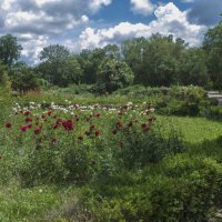 Природа  ботанического сада :: Валентин Семчишин