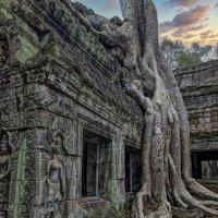 Ангкор-Ват :: Олег Ы