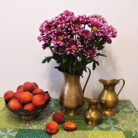 Хризантемы и красные абрикосы :: Nina Yudicheva