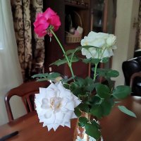 Розы на столе :: Ольга Довженко