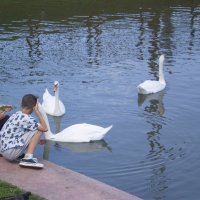 В парке городском. :: Венера Чуйкова