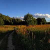 Вот моя деревня :: Андрей Лукьянов