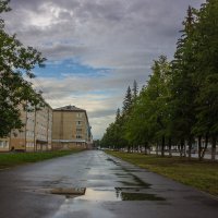 После дождя :: Дмитрий Костоусов