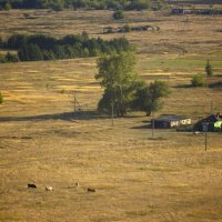 Осень близка :: Олег Денисов