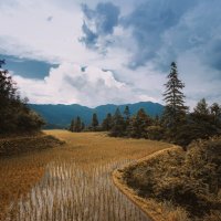 Рисовое поле в горах :: Дмитрий 