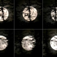 Скорость Луны :: Heinz Thorns