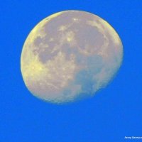 Луна убывающая, Хайфа, прогулка, небо, луна :: Валерьян Запорожченко