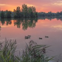 Озеро :: Дмитрий Балашов