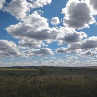 Облака над степью :: Андрей Хлопонин