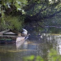 ......... :: Вадим Виловатый