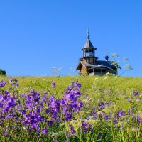 В жилой части о. Кижи :: Георгий А