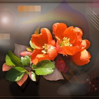 Цветок айвы. :: Любовь Зинченко 