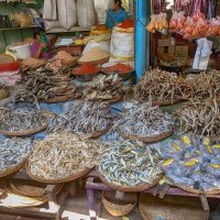 Сушеная рыбка на местном базаре. Мьянма :: Олег Ы