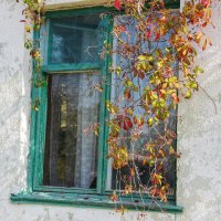 Осень стучит в  окно. :: Лариса Исаева