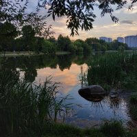 Предпоследний летний вечер на пруду :: Андрей Лукьянов