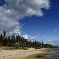 Сурское водохранилище :: Олег Денисов