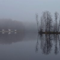 Утром осенним..... :: Юрий Цыплятников