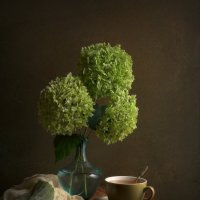 Зелёный чай :: Сергей Алексеев